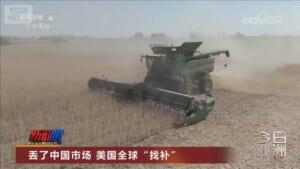 米国産大豆輸入減の中国に報復示唆　中国は貿易摩擦見据え輸入先を多角化