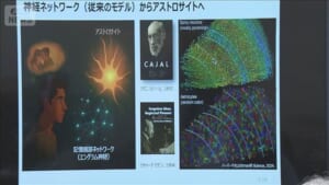「記憶を選んで残す」メカニズム解明　PTSDやうつ治療への期待も　理研などのチーム