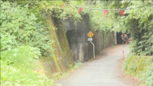 福島 クマ被害3件相次ぐ　男性3人襲われ負傷