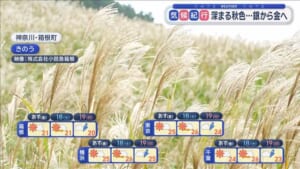 【関東の天気】雨雲通過中！今夜は傘の出番　あす1週間ぶり！安定の秋晴れ