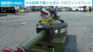 犬も仮装でトリックオアトリート　米ミシガン州ペットショップのイベント