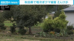 秋田県で相次ぎクマ被害　女性は庭木の手入れ中に…男性は「親子に遭遇し襲われた」