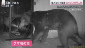 クマ被害急増で人材不足露呈 切望される“ガバメントハンター”とは
