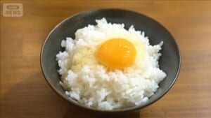 1個888円も！個性あふれるブランド卵　40種類以上魅惑の食べ比べ【グッド！いちおし】