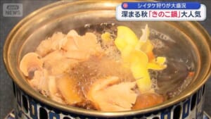 深まる秋「きのこ鍋」大人気　シイタケ狩りが大盛況