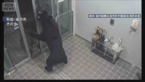 市街地でクマに襲われ4人けが　建物に居座る　箱わな設置し監視　秋田・湯沢市