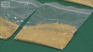 下着に金隠し香港から密輸しようとしたか　男女4人逮捕