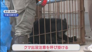 “居座り”子グマ捕獲　車庫で一晩 仕掛けたワナに