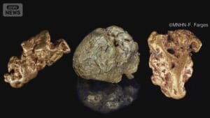 パリの博物館で先月発生の金塊窃盗　中国籍の女（24）を逮捕　溶かした金を所持