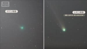 「レモン」と「スワン」　2彗星が地球に接近　同時に見られるのは来月上旬ごろまで