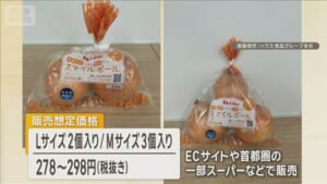 涙が出ないタマネギ発売　丸かじりOK、甘い味わい　ハウス食グループ本社が開発
