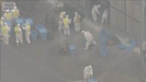 鳥インフルエンザ　養鶏場で今季全国初確認  46万羽を殺処分へ　北海道