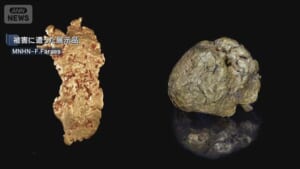 “展示の金塊”盗んだか 女を訴追　仏の博物館などで被害相次ぐ