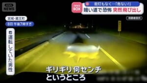 暗い道で恐怖 突然飛び出し　街灯もなく…「危ない!」