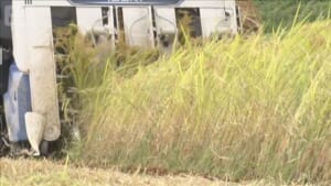 コメ “増産”から事実上の方針転換　来年は生産量減で調整