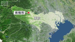 小1児童ら22人ハチに刺されけが 全員軽傷 東京・青梅市