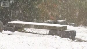 今シーズン最多の冬日に　全国で冷え込み強まる