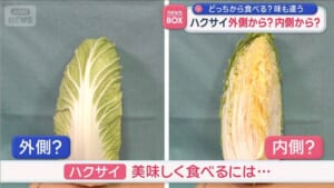 “ハクサイ”どっちから食べる？ 味も違う　外側から？内側から？