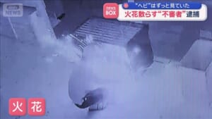 “ヘビ”はずっと見ていた　火花散らす“不審者”逮捕