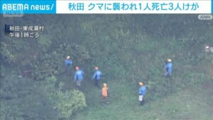 秋田・東成瀬村　男女4人がクマに襲われ1人死亡