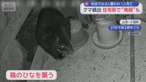 クマ続出… 住宅街で“発砲”も　農作物への被害1000万円　対応追われる