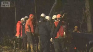 札幌市の住宅街で子グマが徘徊　通報から約5時間後に駆除