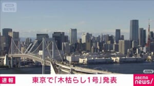 東京地方で木枯らし1号発表 去年より4日早い観測