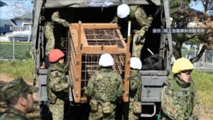 クマ被害相次ぐ秋田県　きょうから自衛隊が活動へ