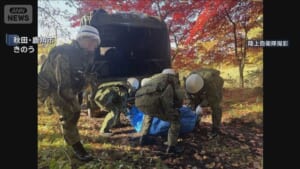 秋田　市街地などに連日クマ出没　陸上自衛隊の後方支援本格化