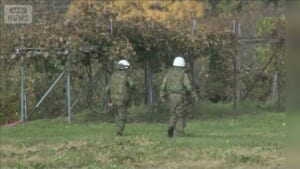 連日のクマ被害　秋田で散歩中の男性襲われる　富山、山形で「緊急銃猟」も