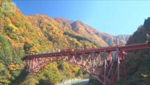 「トロッコ電車」で楽しめる 富山・黒部峡谷の紅葉が見ごろ迎える