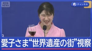 愛子さま“世界遺産の街”と日本が支援する小児病院を視察