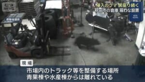 倉庫に侵入のクマ 居座り続く　秋田市が箱わな設置
