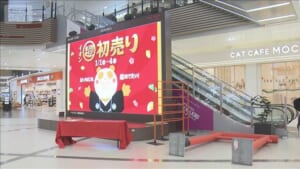 年末年始「予定なし」6割　“近場需要”とりこみの動きも