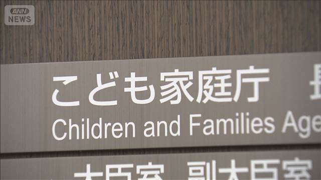 子ども・子育て支援金来年度から　年収800万円では月767円徴収　こども家庭庁