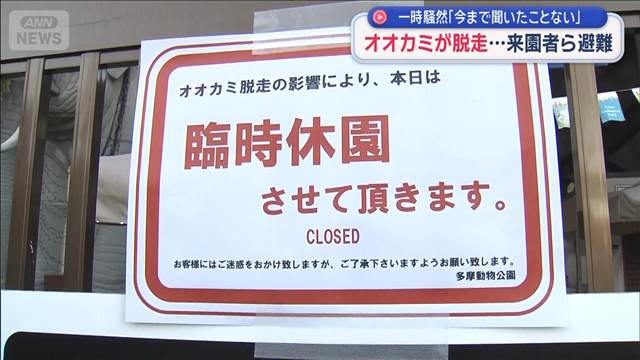 オオカミが脱走…来園者ら避難　一時騒然「今まで聞いたことない」
