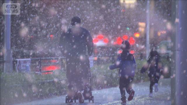 東京都心は初雪が積雪に　路面凍結やスリップ事故注意