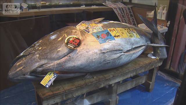 “一番マグロ”5億1030万円　豊洲市場で初競り 市場最高値