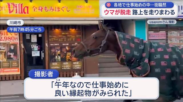ウマが脱走　路上を走りまわる　各地で仕事始めの中…街騒然