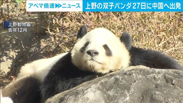 上野のパンダ2頭　27日に中国へ出発
