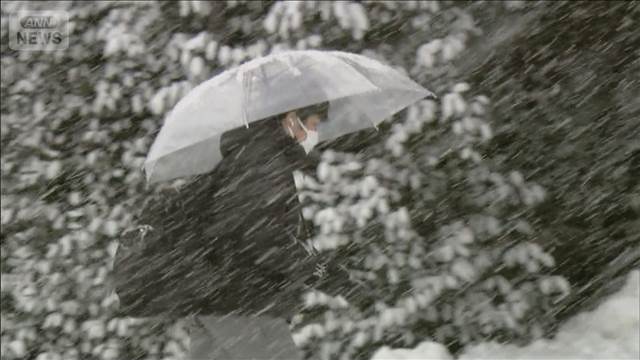 1日で積雪5cm以上増加　午後も災害級大雪の恐れ