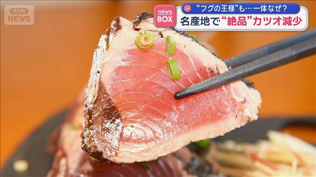 名産地で“絶品”カツオ減少“フグの王様”も…一体なぜ？