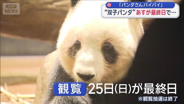 「パンダさんバイバイ」　上野動物園の“双子パンダ”　25日が観覧最終日