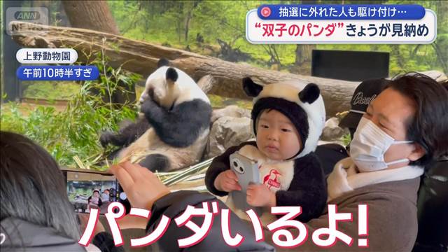 上野動物園“双子のパンダ”きょうが見納め 抽選に外れた人も駆け付け…