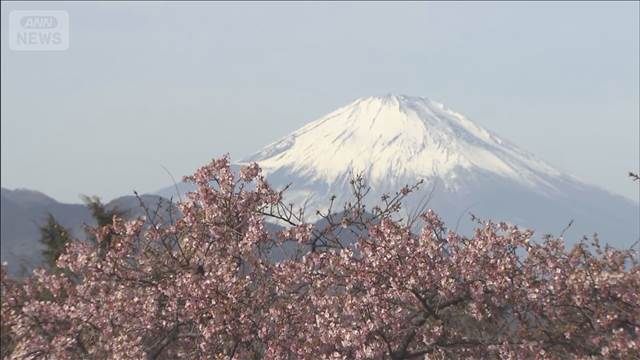 3月並みで15℃超も　あすから今季最強寒波