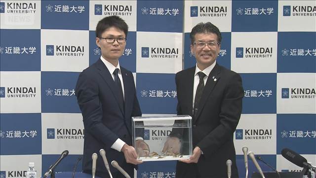 世界初！高級魚「ノドグロ」の完全養殖に成功　近畿大学水産研究所