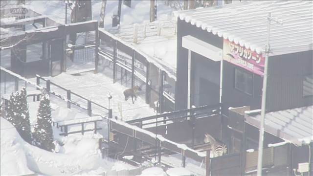 ノースサファリに除却命令手続きへ 違法建築が問題に 札幌市