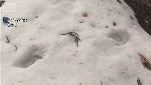 クマに襲われ猟友会の男性が重傷　岩手・花巻市