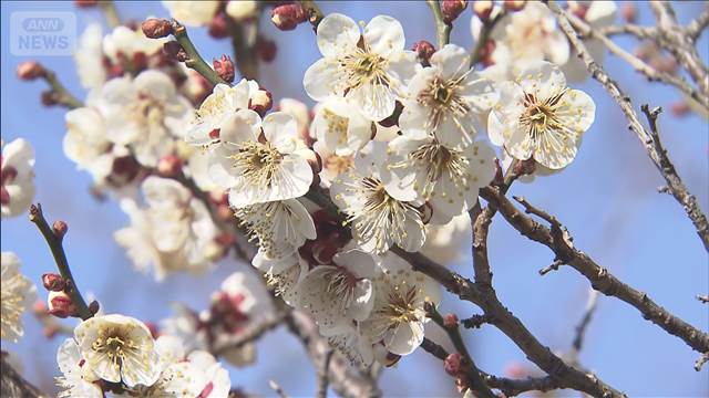 今年一番 4月並みの陽気　雪どけが急速に進むおそれ　なだれや落雪に注意