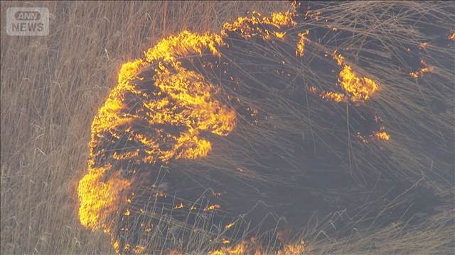 渡良瀬遊水地の枯れ草燃え　約70ヘクタール焼け7時間後に鎮火